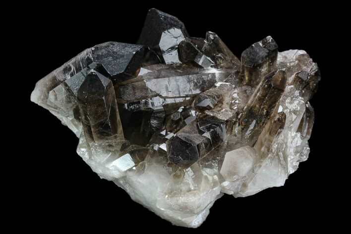 Dark Smoky Quartz Crystal Cluster - Brazil #124596